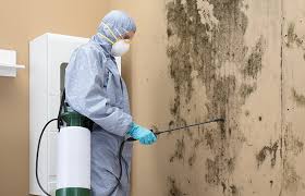 Best Comprehensive Air Testing for Mold Contaminants in Pocola, OK